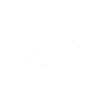 Turkey creek logo White